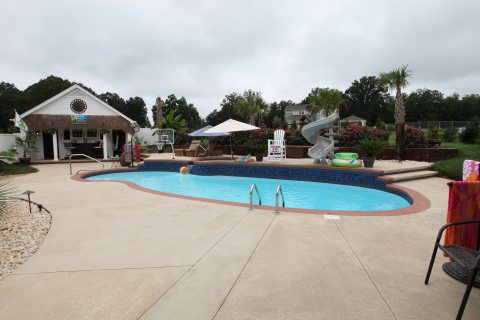 Oasis