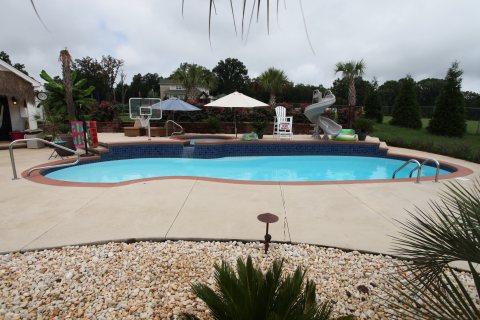 Oasis
