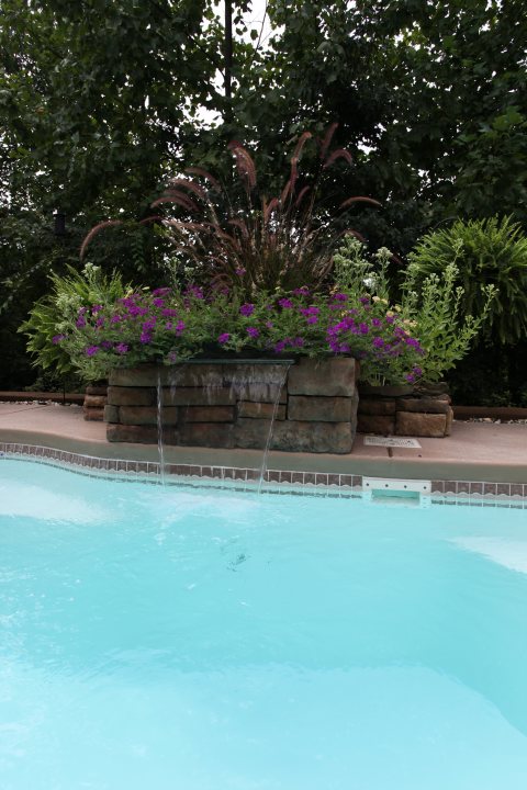 Crystal Springs