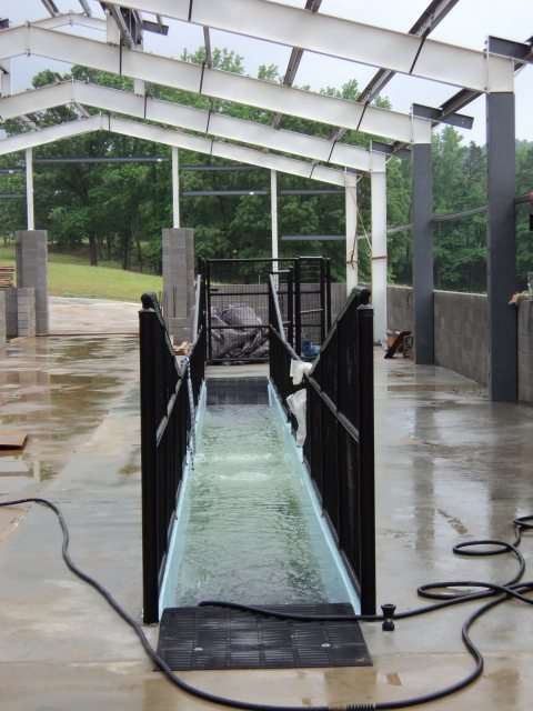 Pool inspiration