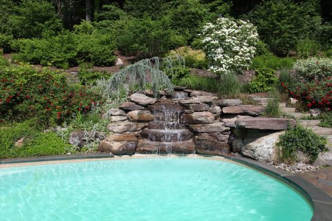 Oasis