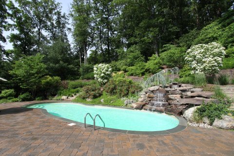 Oasis