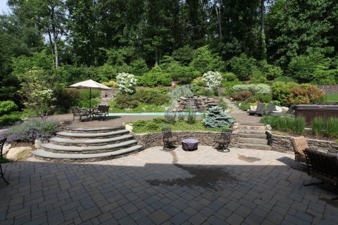 Oasis