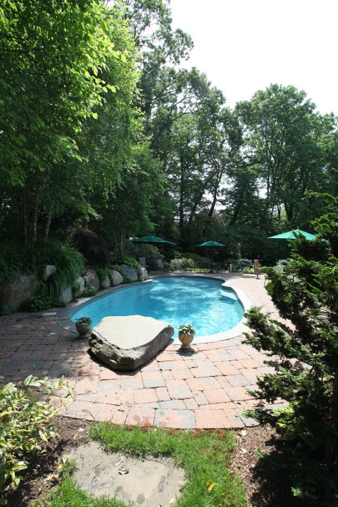 Oasis