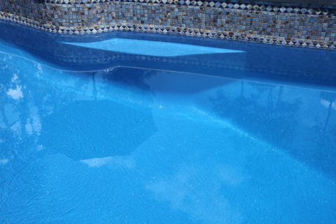 Oasis