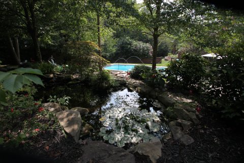 Pool inspiration