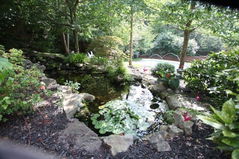 Pool inspiration