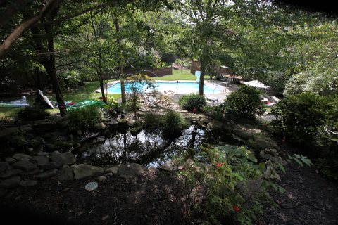 Pool inspiration