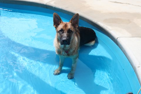Pool inspiration