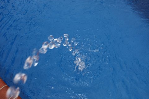 Lelani