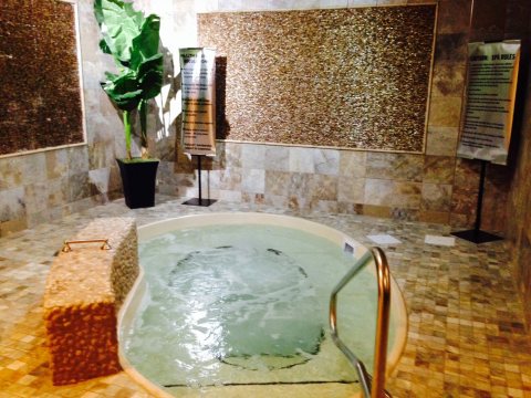 Charlotte Spa installed pool