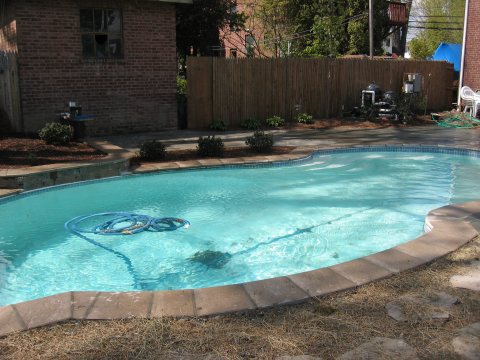 Pool inspiration