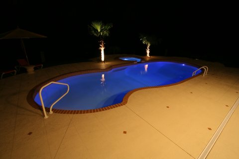 Oasis
