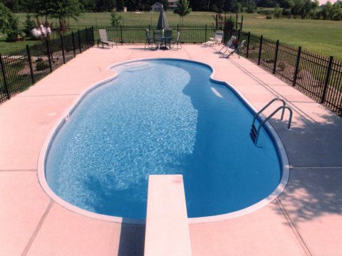 Oasis