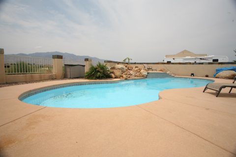 Oasis