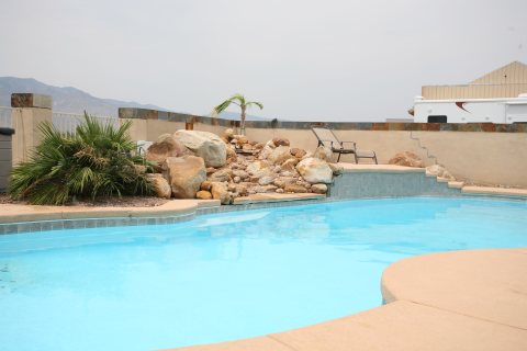 Oasis