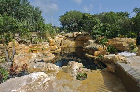 Desert Springs