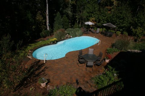 Oasis