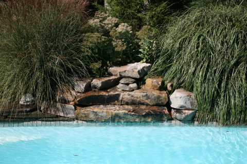 Oasis