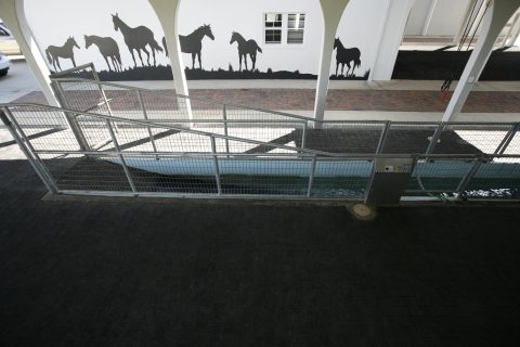 Pool inspiration