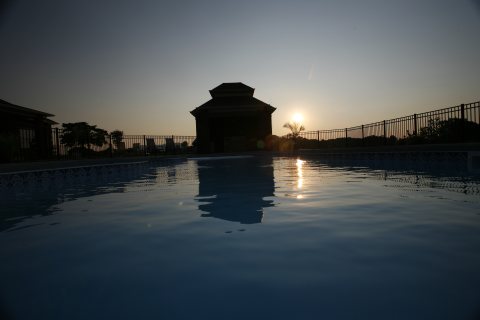 Pleasure Island