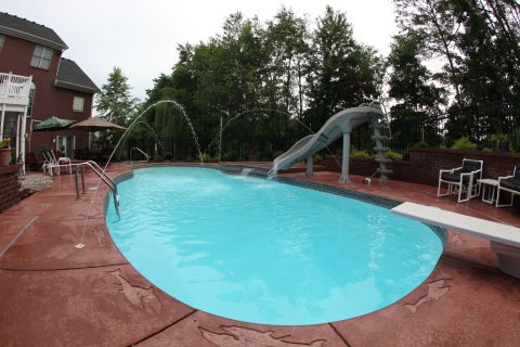 Oasis