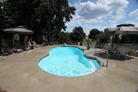 Oasis