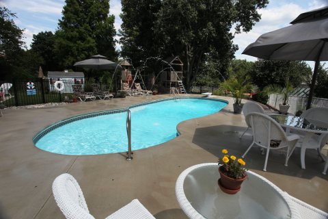 Oasis