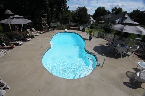 Oasis