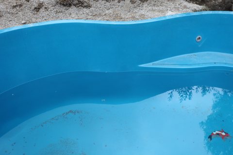 Crystal Cove
