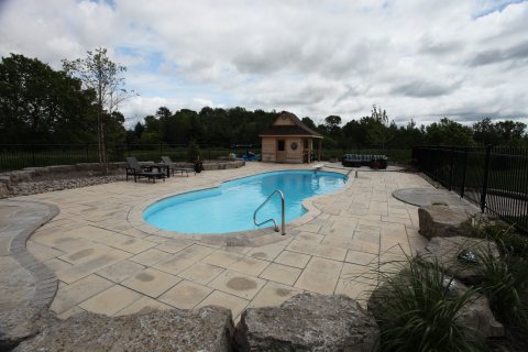 Oasis