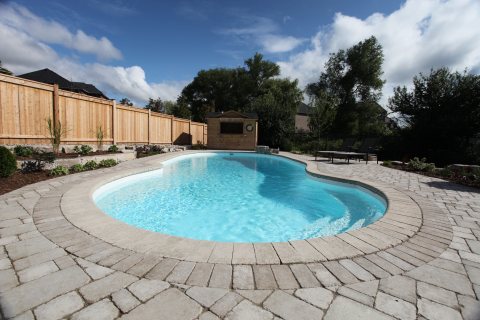 Oasis