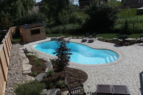 Oasis