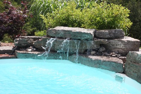 Oasis