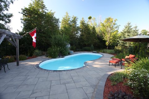 Oasis