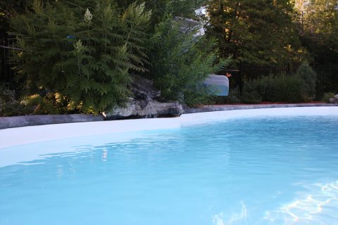 Oasis