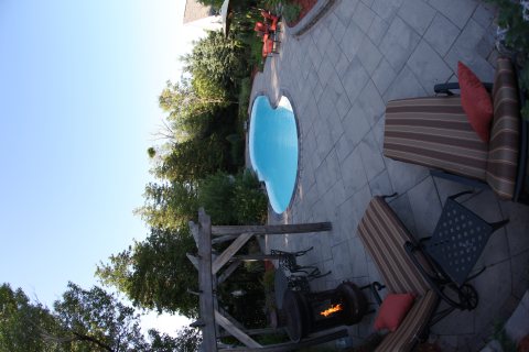 Oasis