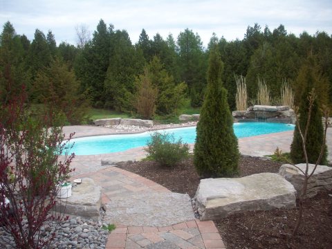 Oasis