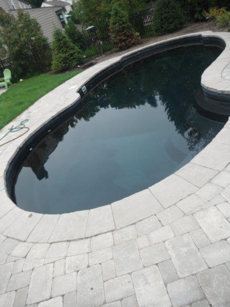 Experience serenity with this new fiberglass in-ground pool, set in a pristine backyard featuring a sleek stone deck and lush greenery.