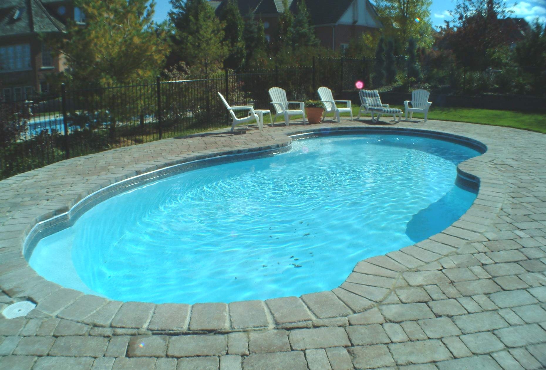 A serene inground pool in a desert backyard, perfect for a relaxing summer afternoon. The warm sunlight and lush greenery create a tranquil atmosphere.