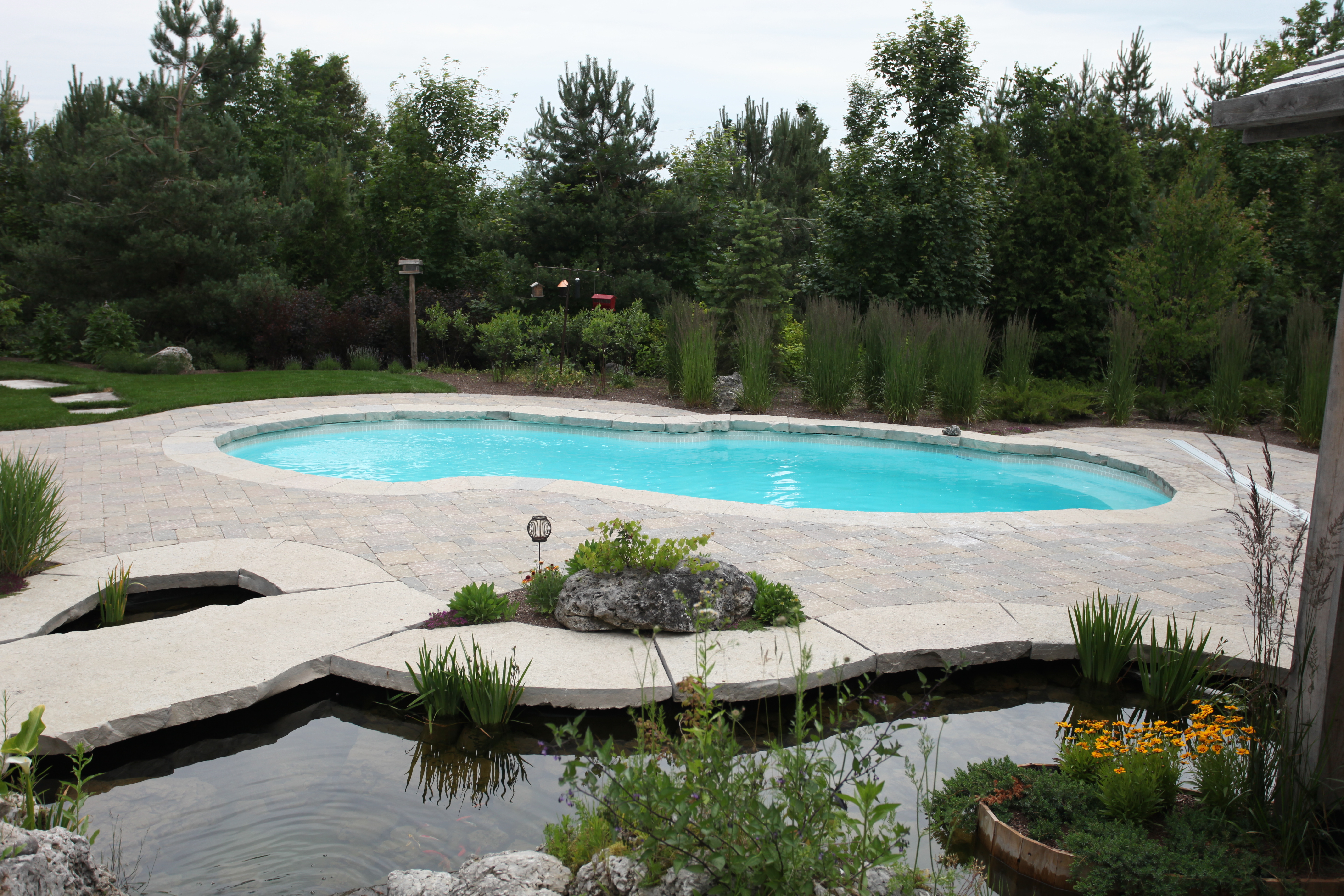 Escape to this serene backyard oasis featuring a pristine fiberglass kidney-shaped pool nestled amidst lush greenery.